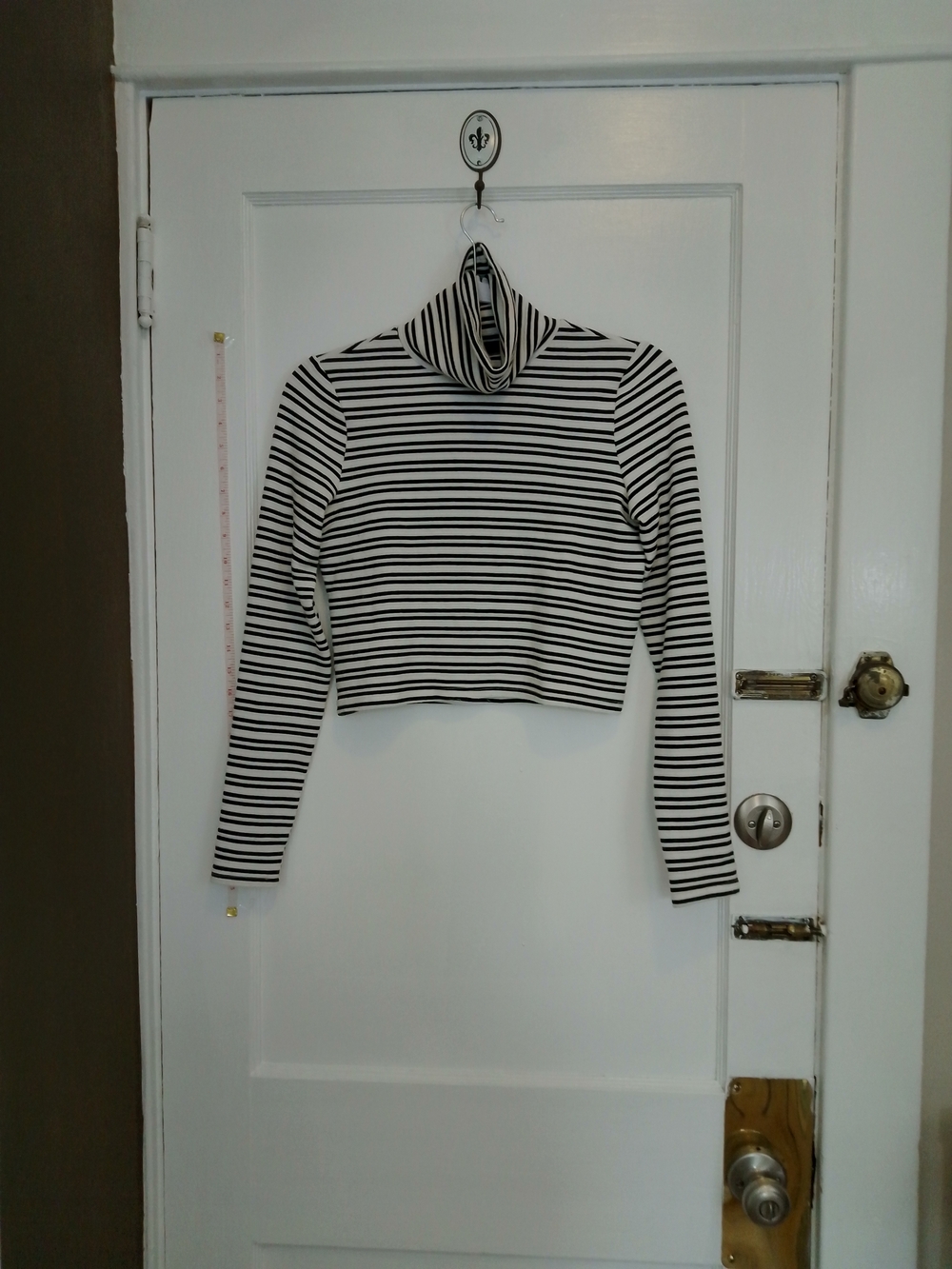 Reformation Women Black and White Striped Crop Turtleneck